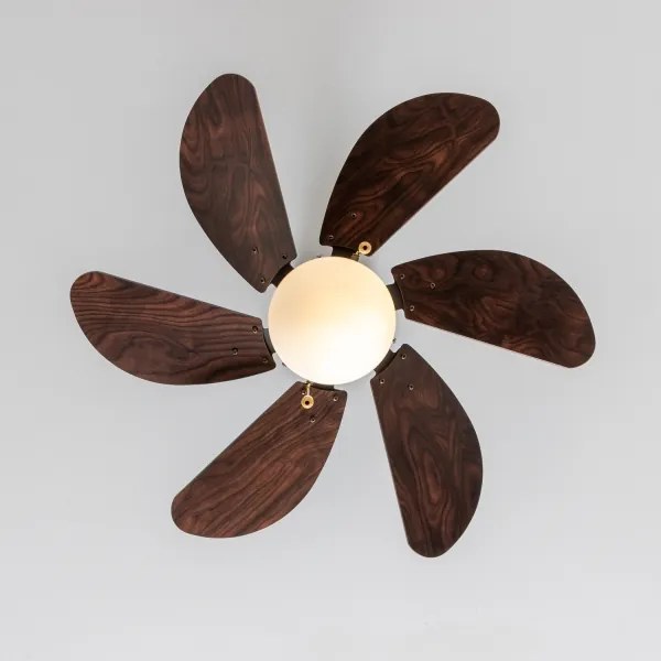 ZEVENTI - Stropný ventilátor FAMARA 1xE14/60W/230V