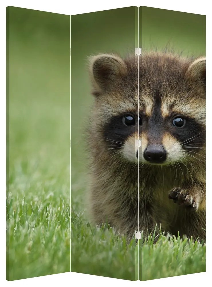 Paraván - Medvedík čistotný (126x170 cm)