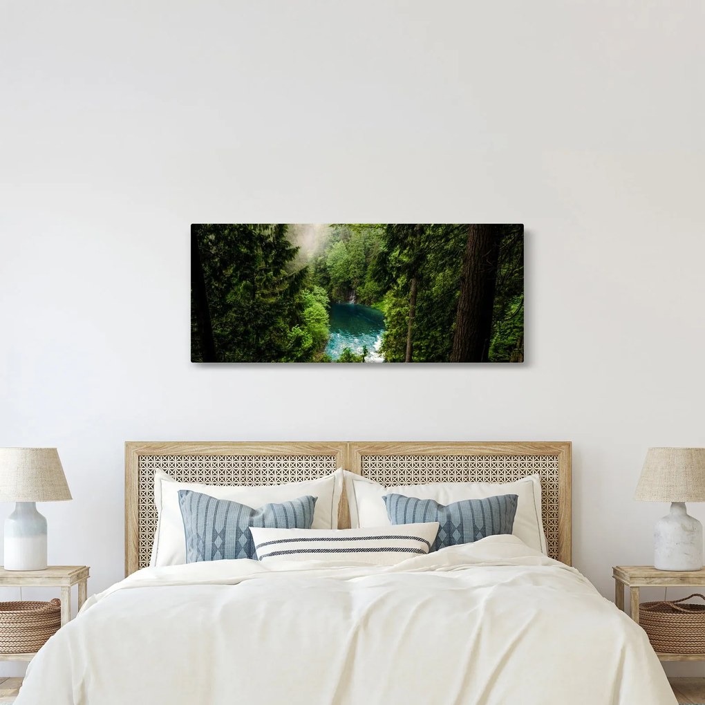 Obraz - Priezor medzi stromami (120x50 cm)