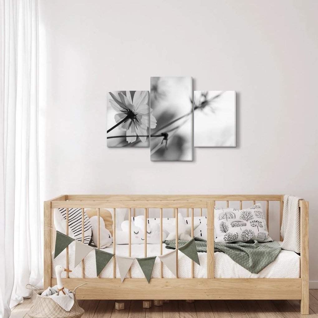 Obraz - Čiernobiele kvety (90x60 cm)