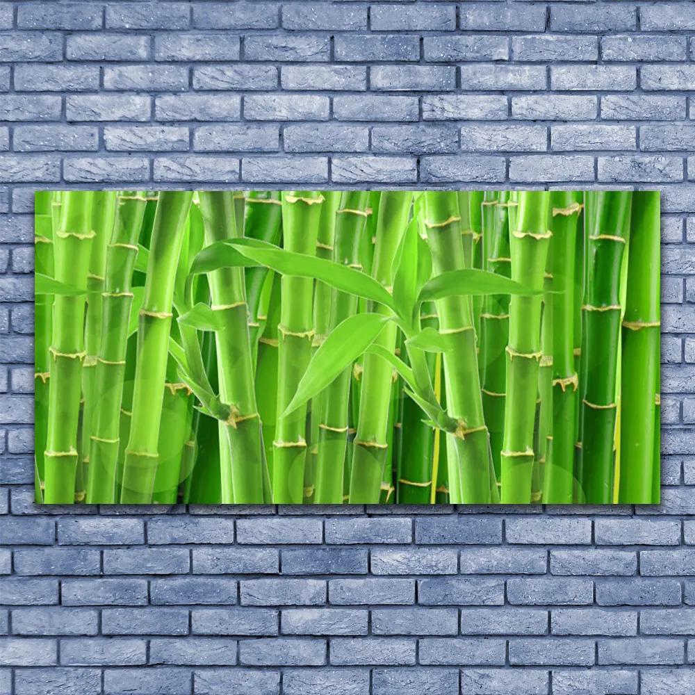 Obraz na akrylátovom skle Bambus stonka kvet rastlina 120x60 cm