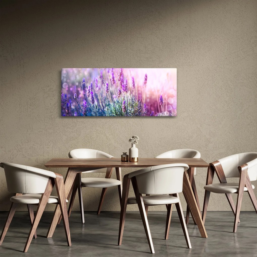 Obraz - Levanduľa vo trblietania slnka (120x50 cm)