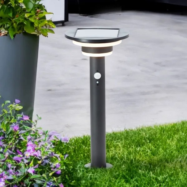 Brilliant - LED Solárna lampa so senzorom GARVINA LED/3W/3,7V 45 cm IP44 čierna