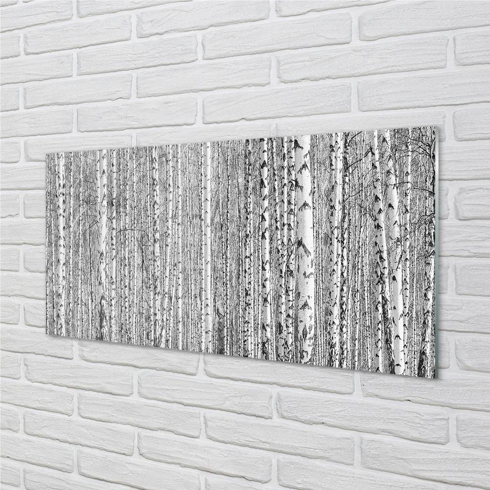 Obraz plexi Čierna a biela strom les 100x50 cm