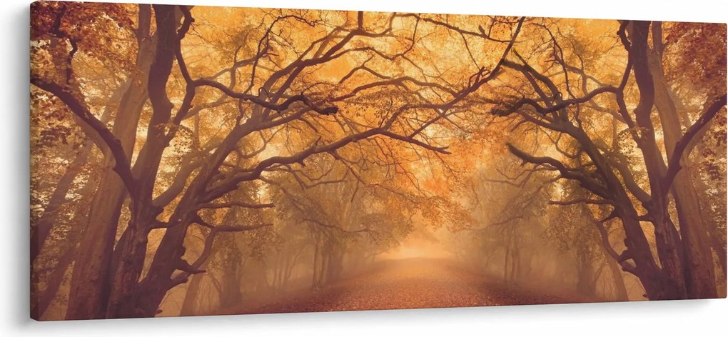 Obraz cesty v jesennej krajine (120x50 cm)