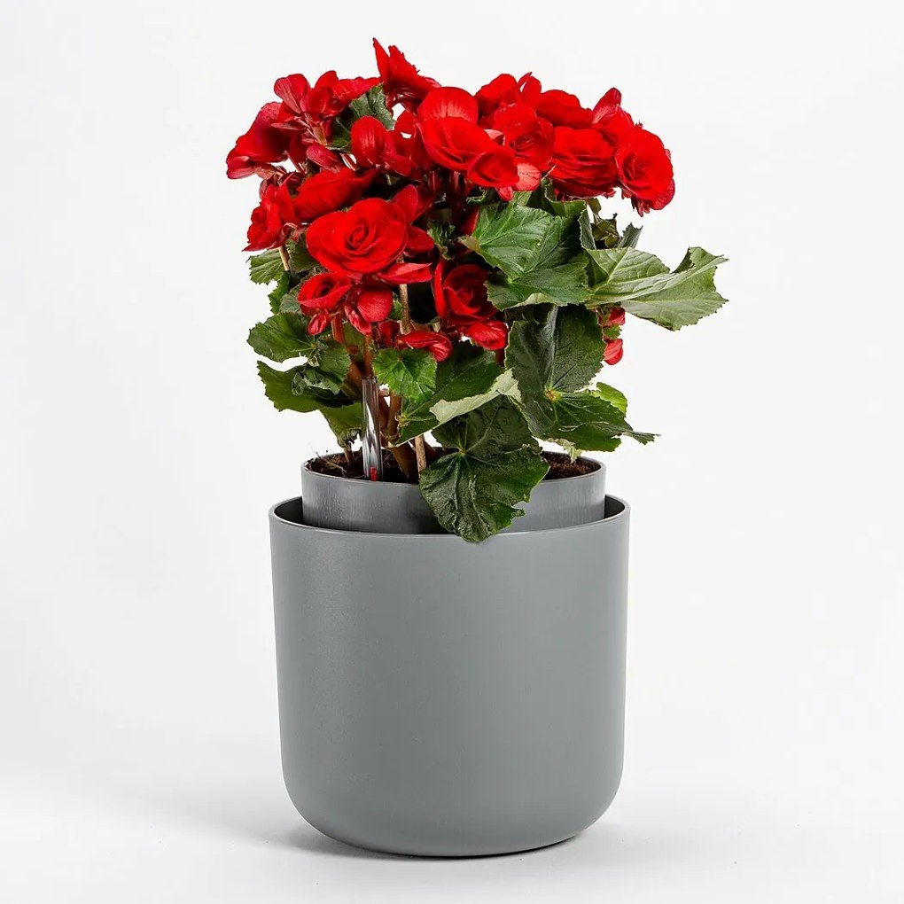 Plastia Samozavlažovací kvetináč Tolita sivá, pr. 19 cm, pr. 19 cm