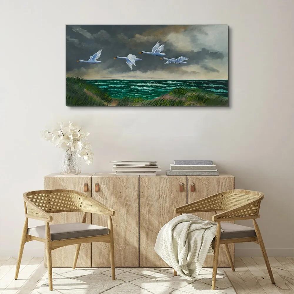 Obraz canvas Vtáky morskej oblohy labute