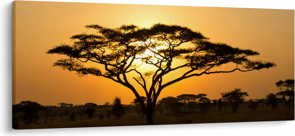 Obraz - Africká savana (120x50 cm)