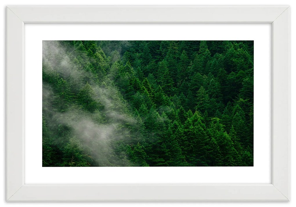 Gario Plagát Hmla nad lesom Farba rámu: Čierna, Rozmery: 60 x 40 cm