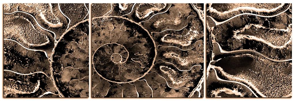 Obraz na plátne - Textúra fosílie - panoráma 5174FC (150x50 cm)