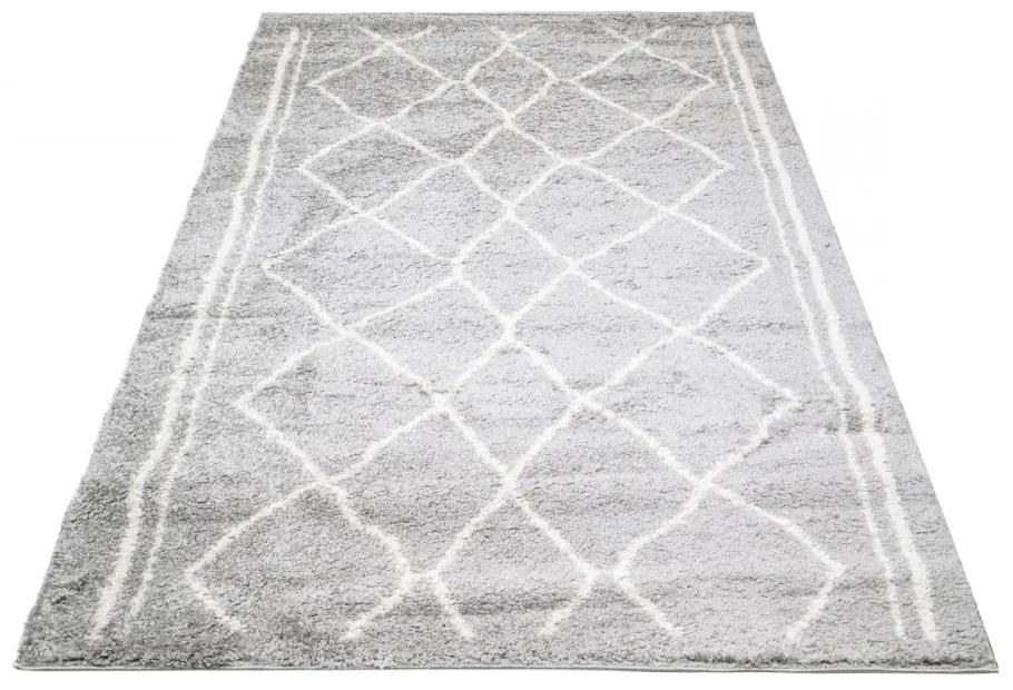 Kusový koberec Shaggy Pata šedý 120x170cm