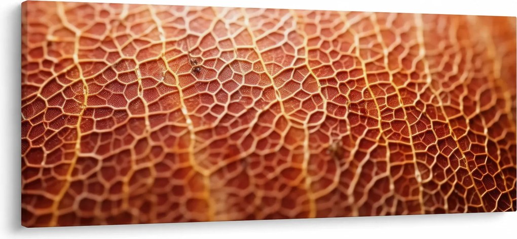 Obraz - Detail textúry (120x50 cm)