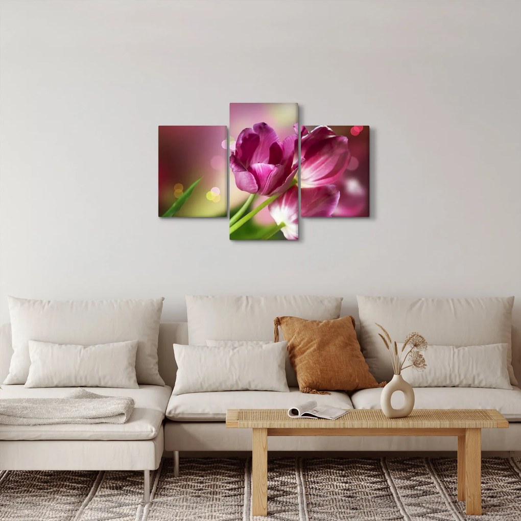 Obraz ružových tulipánov (90x60 cm)