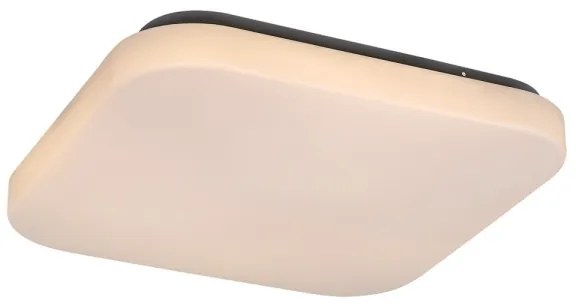 Rabalux 3340 - LED Stropné svietidlo ROB 1xLED/20W/230V