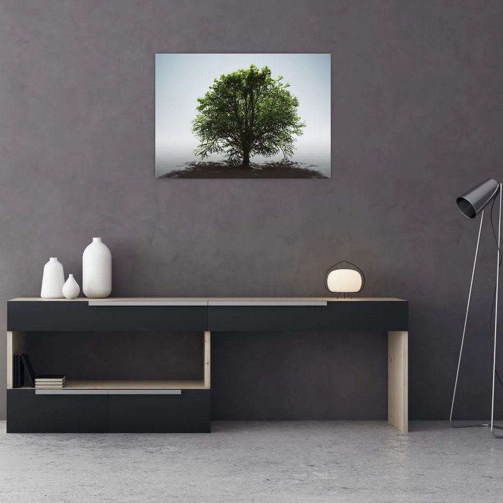 Sklenený obraz - Osamotený strom (70x50 cm)