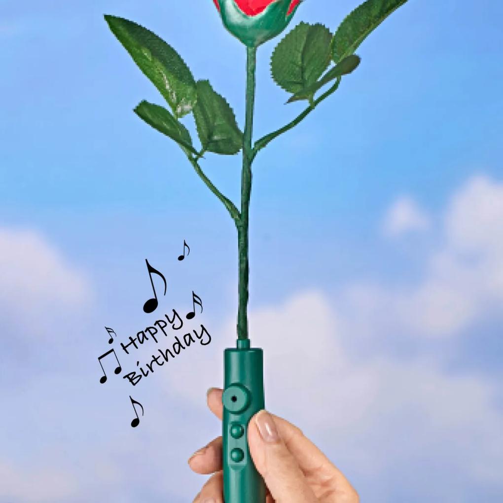 Hovoriaca narodeninová ruža Dĺžka 33 cm