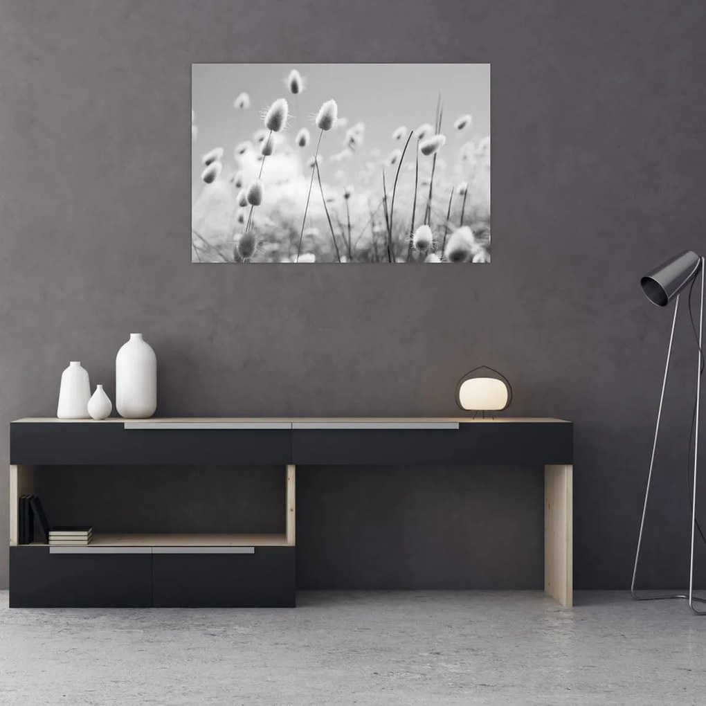 Obraz - Boho bunny tail grass (90x60 cm)