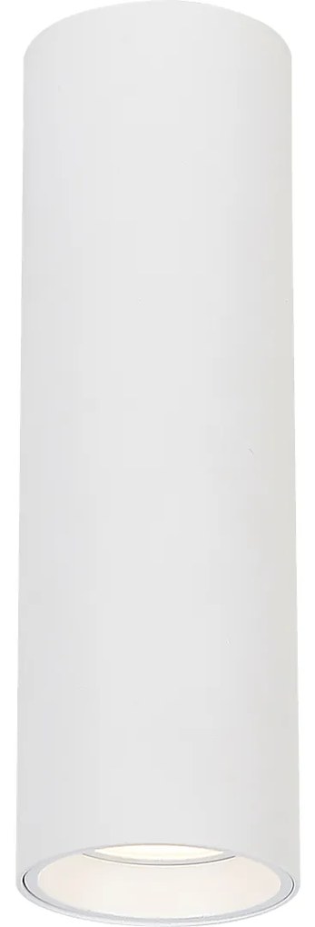 Stropné svietidlo Genesis, 1x biele kovové tienidlo, (20 cm)