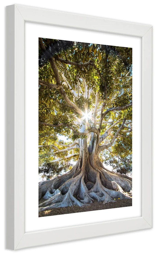 Gario Plagát Veľký exotický strom Farba rámu: Čierna, Rozmery: 60 x 90 cm