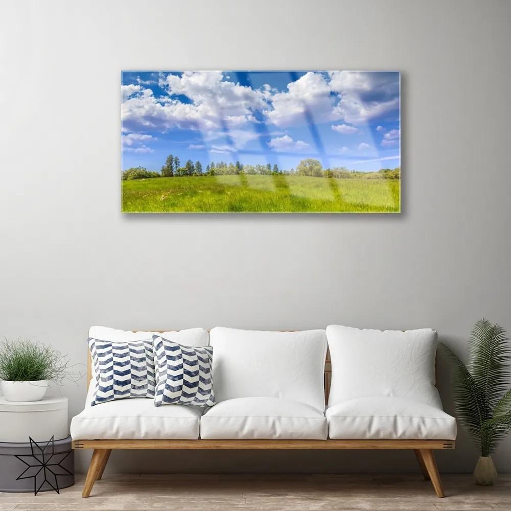 Skleneny obraz Lúka tráva nebo krajina 100x50 cm