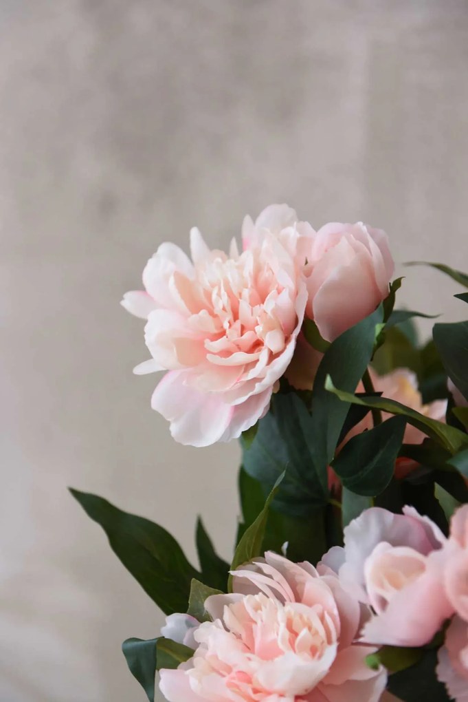 Umelá pivonka v krémovom kvetináči PEONY, výška 70 cm, ružová