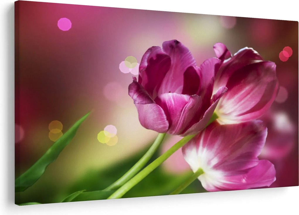 Obraz ružových tulipánov (90x60 cm)