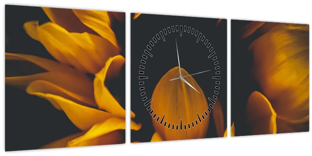 Obraz - Slnečnica v čiernom pozadí (s hodinami) (90x30 cm)