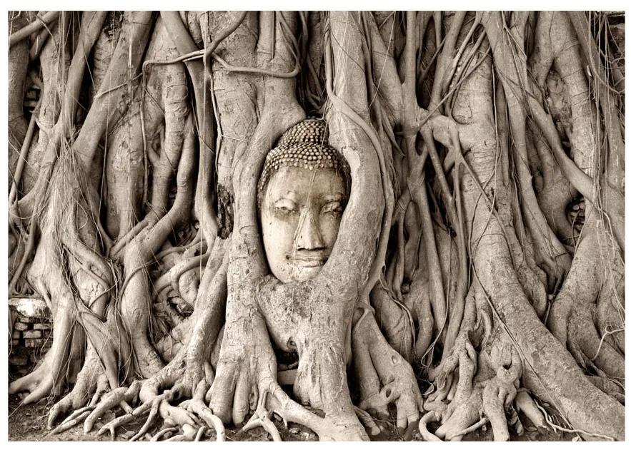 Artgeist Fototapeta - Buddha's Tree Veľkosť: 147x105, Verzia: Samolepiaca