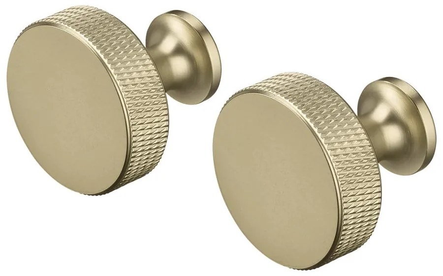 Nástenné kovové háčiky v súprave v mosadznej farbe 2 ks Rof – Blomus