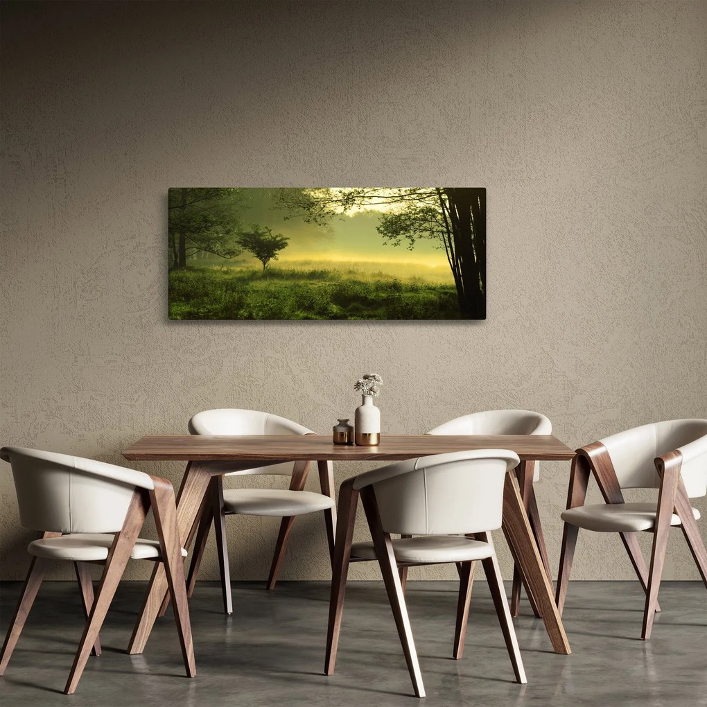 Obraz - Prebúdzajúci sa les (120x50 cm)
