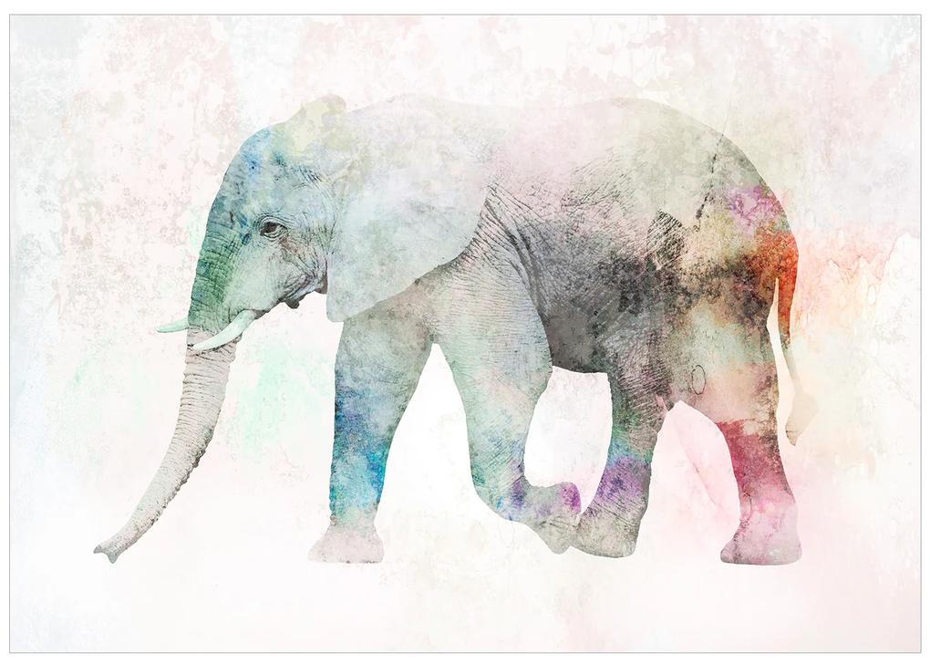 Artgeist Fototapeta - Painted Elephant Veľkosť: 100x70, Verzia: Premium