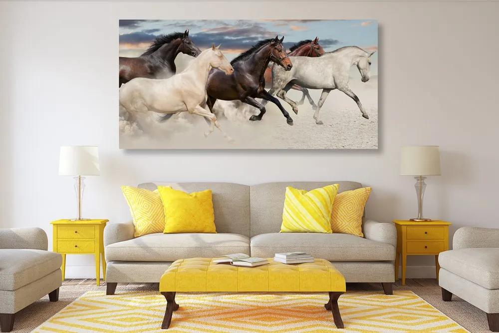 Obraz cválajúce kone