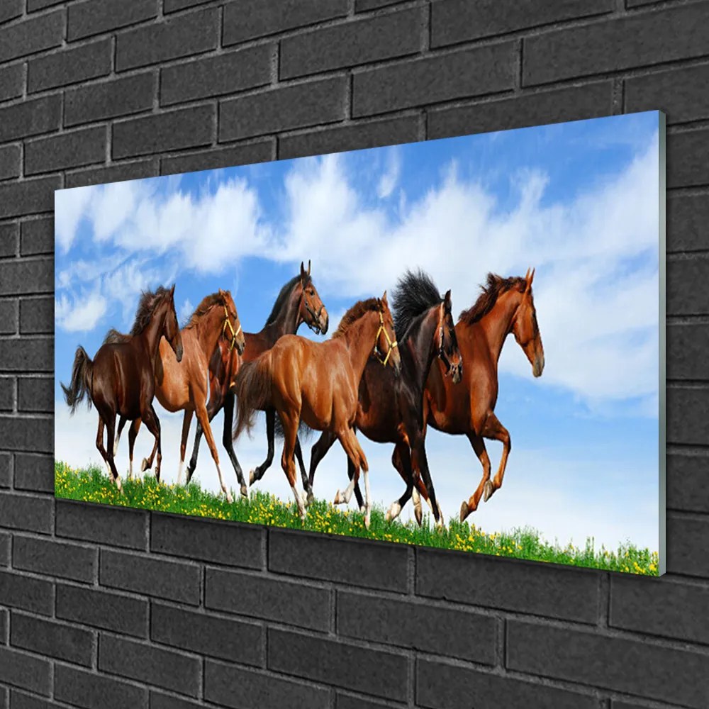 Skleneny obraz Cválajúci kone na pastvine 120x60 cm