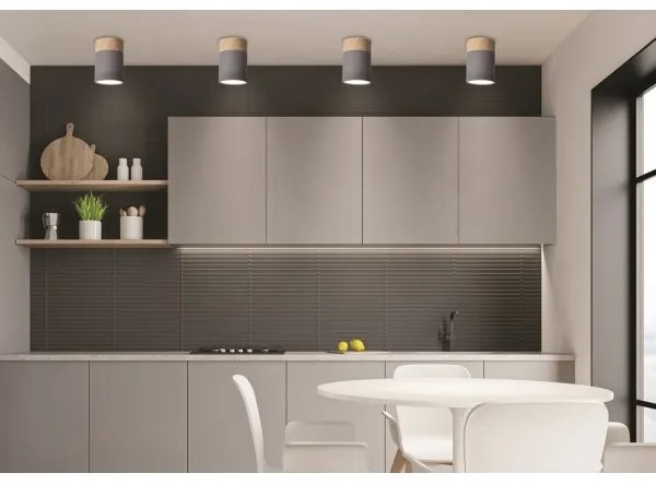 Stropné svietidlo TUBA GU10/15W/230V