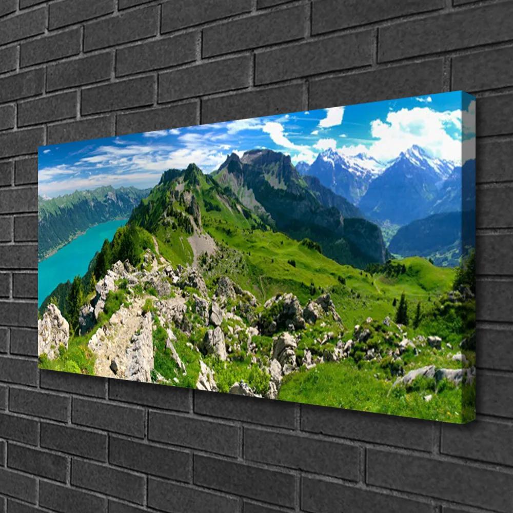 Obraz Canvas Lúka hory príroda príroda 140x70 cm