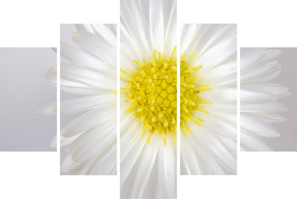 Obraz - Margarita (150x105 cm)