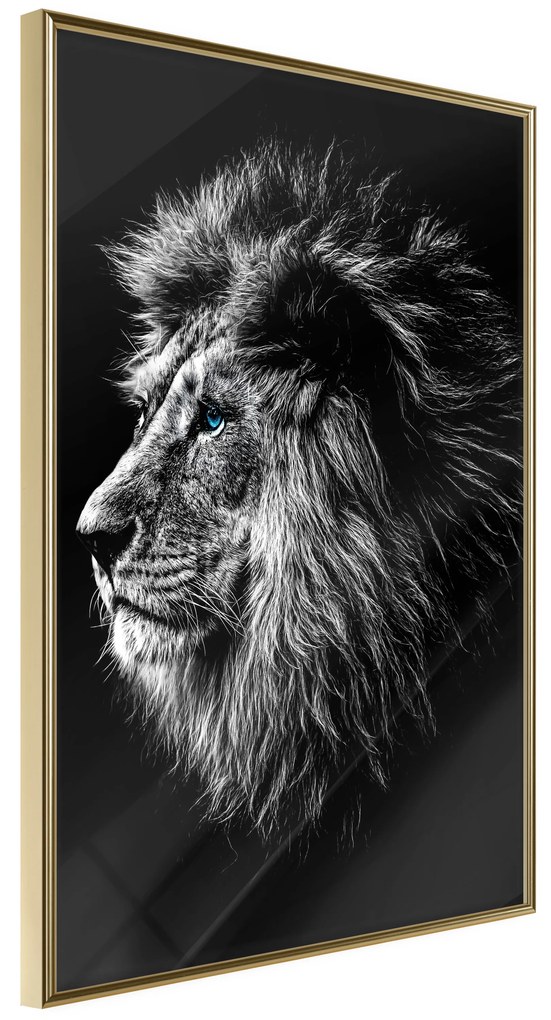 Artgeist Plagát - Blue-eyed Lion [Poster] Veľkosť: 20x30, Verzia: Čierny rám s passe-partout