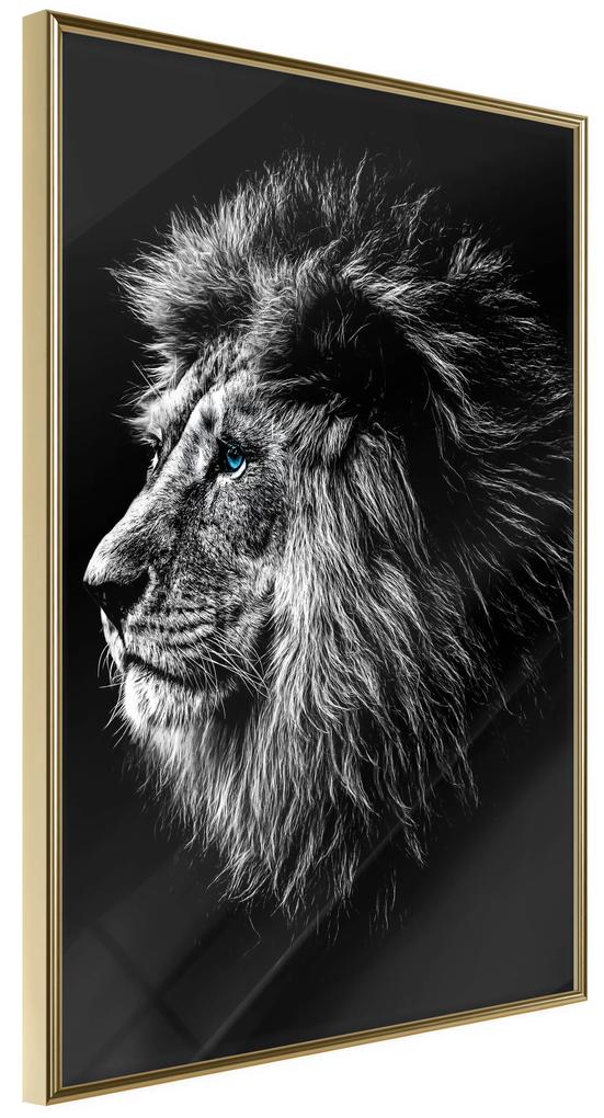 Artgeist Plagát - Blue-eyed Lion [Poster] Veľkosť: 40x60, Verzia: Čierny rám s passe-partout
