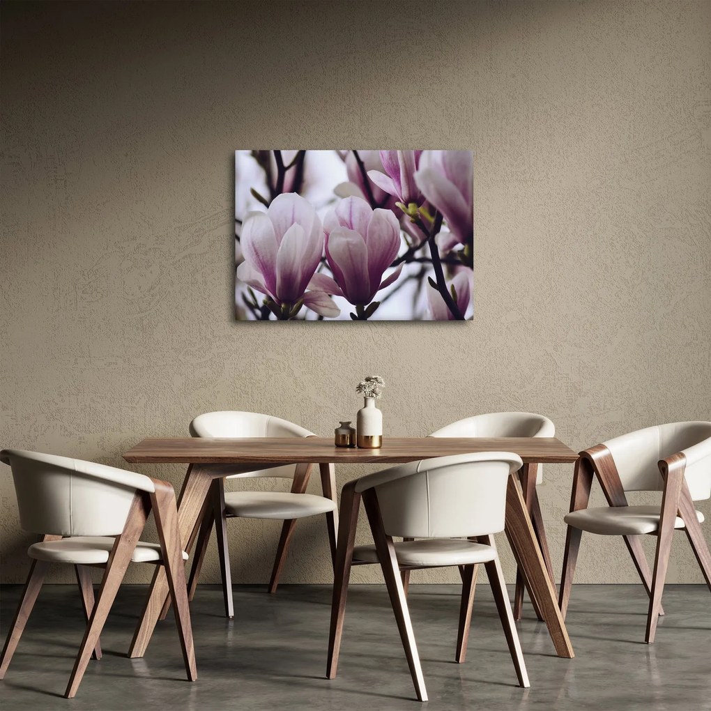 Obraz - Magnolie (70x50 cm)