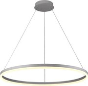 Brilagi - LED stmievateľný luster na lanku CIRCLE LED/55W/230V 3000-6500K strieborný + DO