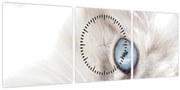 Obraz - Mačka s modrými očami (s hodinami) (90x30 cm)