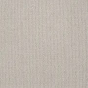 Metrážny koberec NATURE African Stardust biely