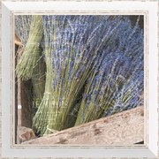 Rámovaný obraz 40x40cm FAP148