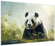 Obraz - Panda (90x60 cm)