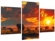 Obraz - Stádo slonov (90x60 cm)