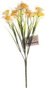 Narcis žlto-biely, kytica s 15 kvetmi, v. 32 cm