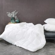 PAPLÓN SILVER 200X220 CM BIELA