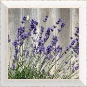 Rámovaný obraz 40x40cm FAP149