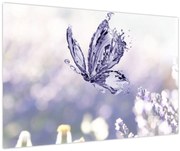 Obraz - Motýľ a levanduľa (90x60 cm)