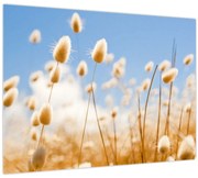 Obraz - Zlaté pole (70x50 cm)